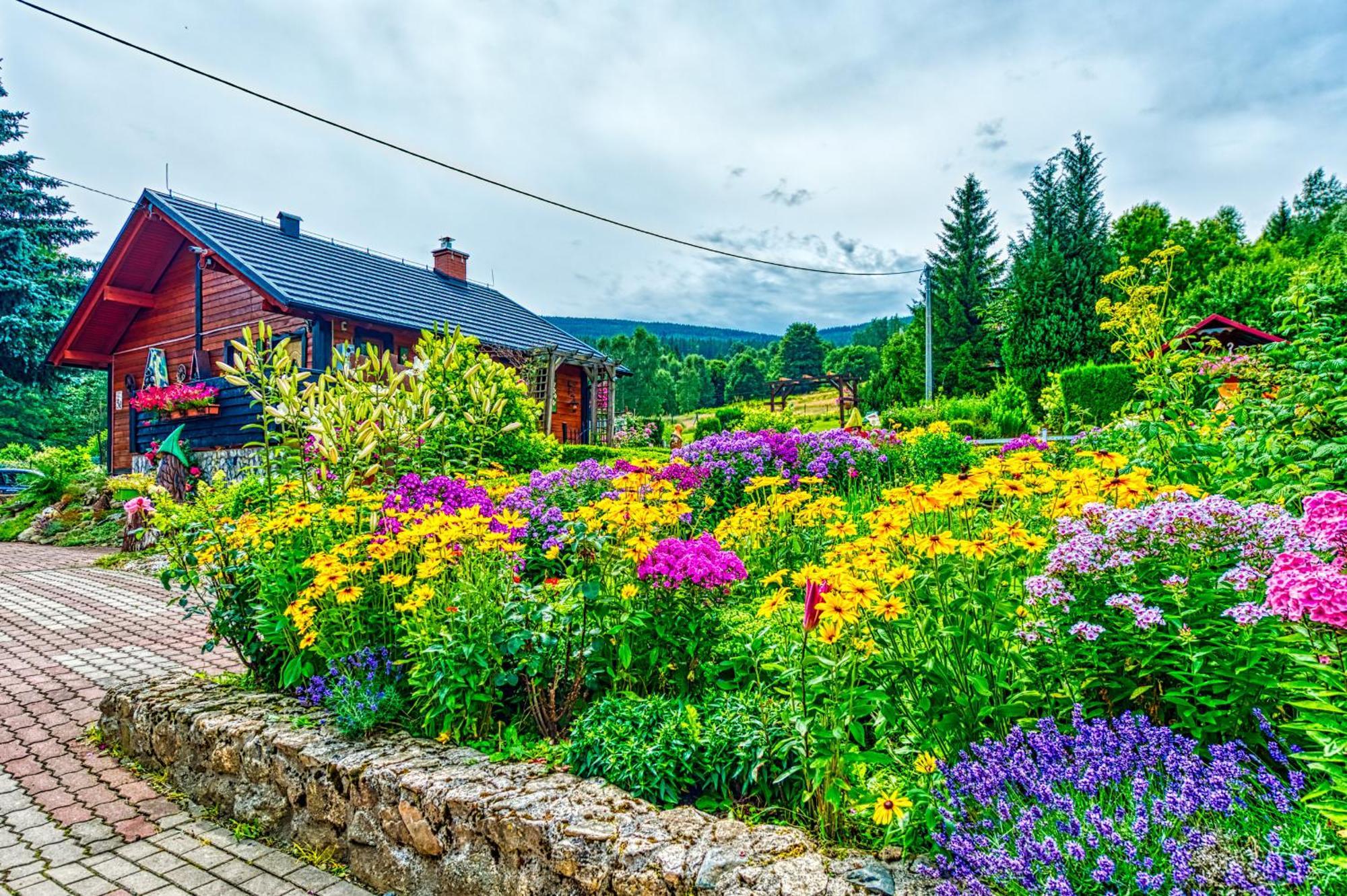 Apartmán Gleboki Jar Świeradów-Zdrój Exteriér fotografie