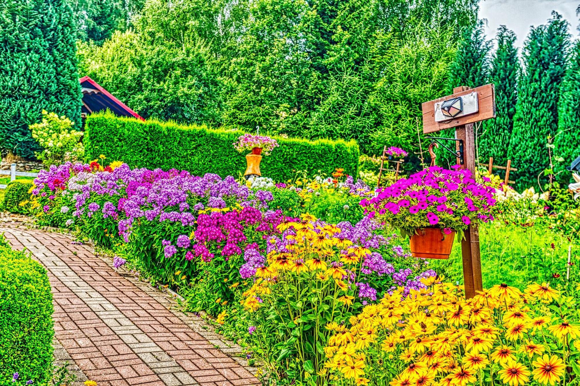 Apartmán Gleboki Jar Świeradów-Zdrój Exteriér fotografie
