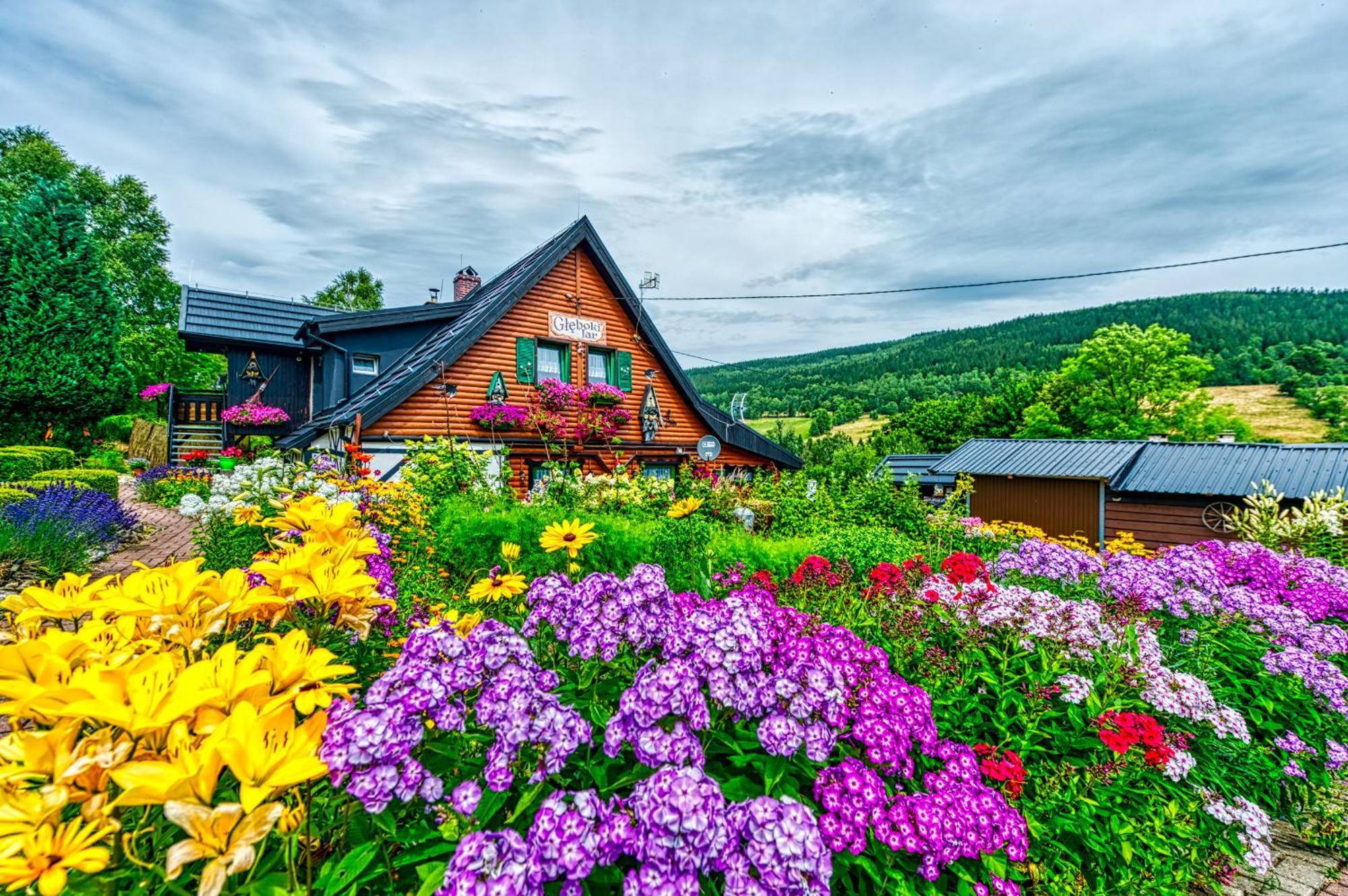 Apartmán Gleboki Jar Świeradów-Zdrój Exteriér fotografie