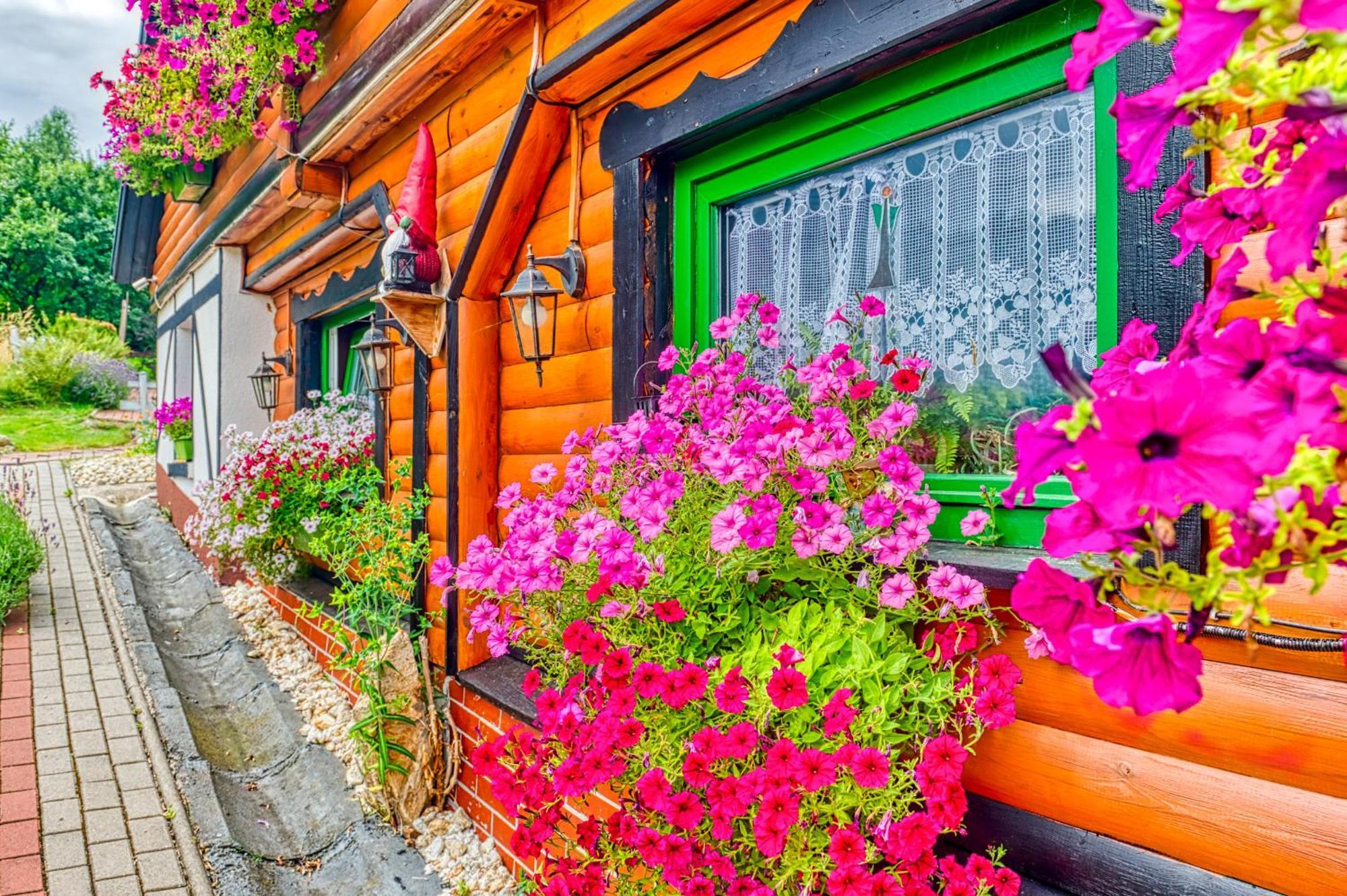 Apartmán Gleboki Jar Świeradów-Zdrój Exteriér fotografie